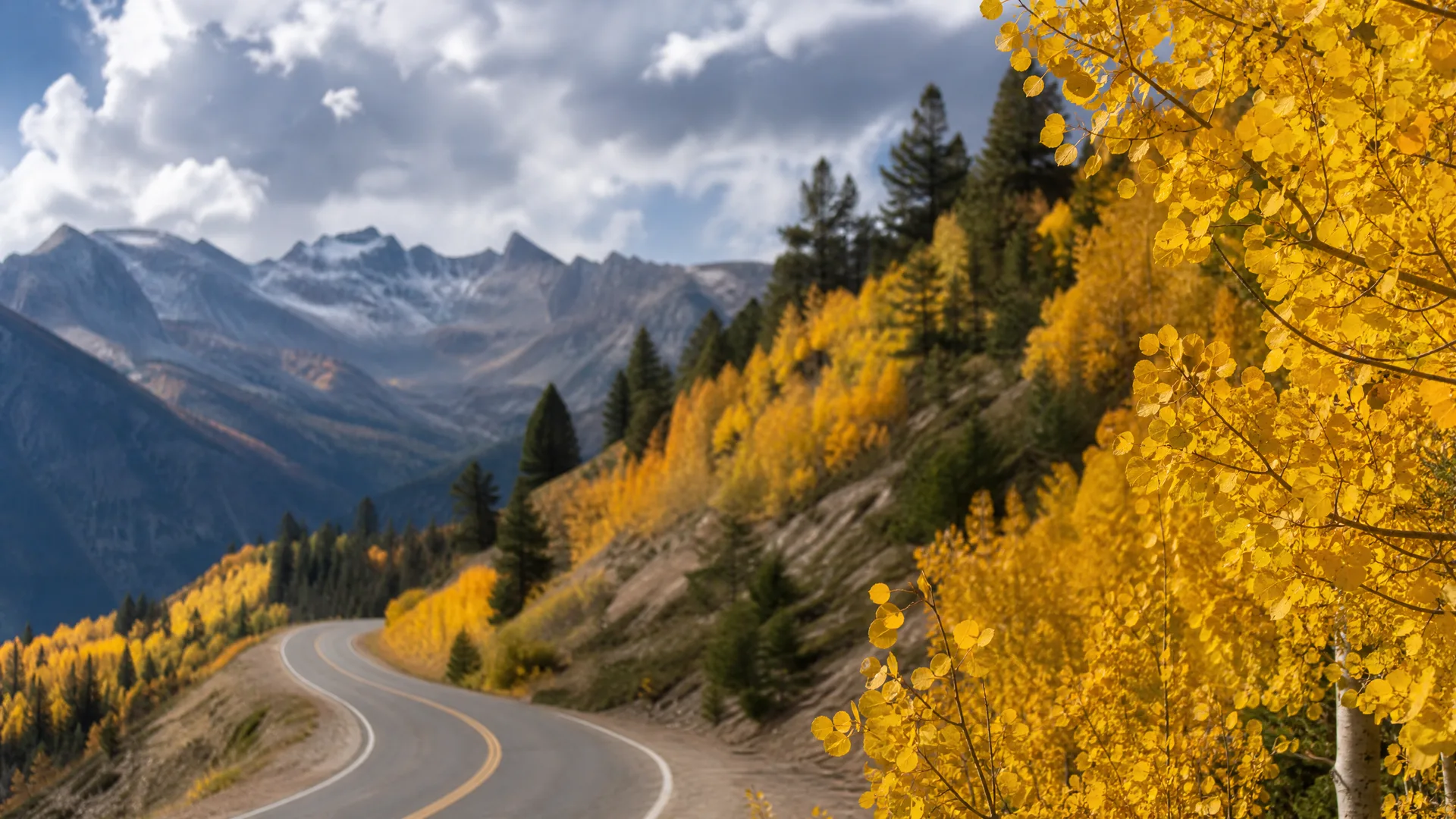 A curving two-lane paved road descends a hillside lined with yellow-leaved aspens and dark conifers, with snow-dusted jagged mountains and cloudy sky in the distance.