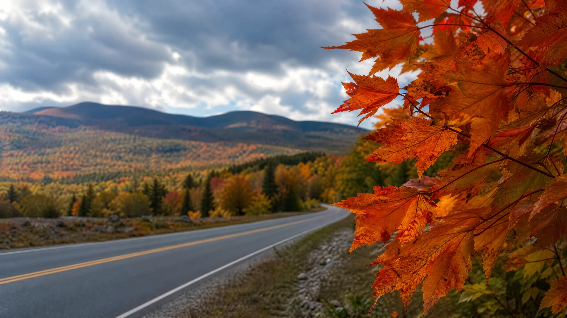 A two-lane road with a yellow center line curves through mixed autumn forest toward rolling hills under a cloudy sky, with orange maple leaves in close focus on the right.